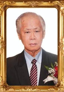 Theodorus Tirtawardojo