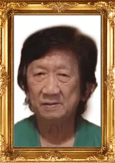 Go Singgih Liwanto