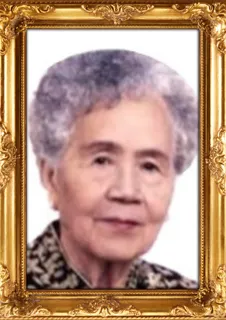Yuan Lei Hua