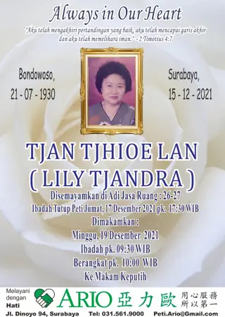 Lily Tjandra second banner