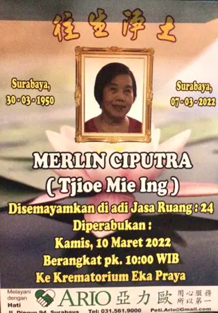 Merlin Ciputra first banner