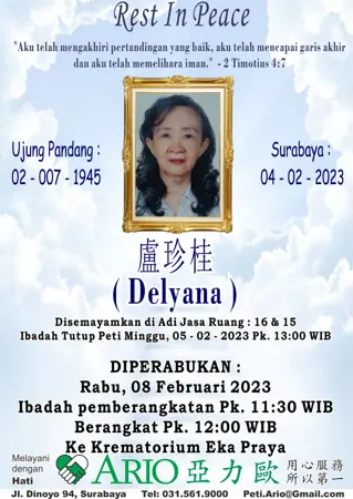 Delyana first banner