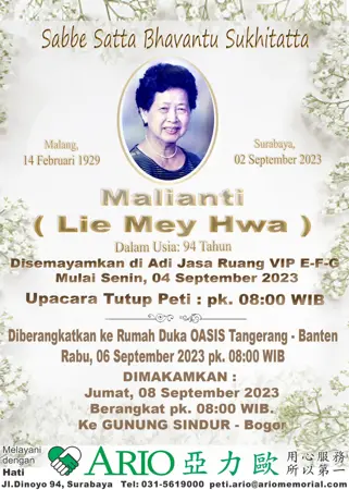 Malianti first banner