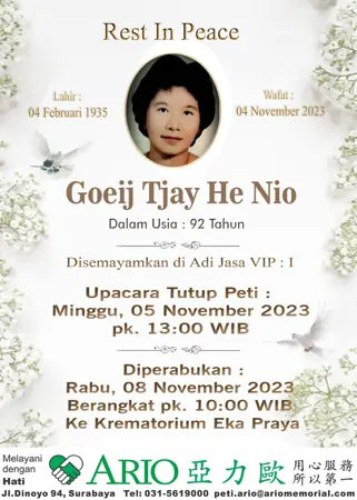 Goeij Tjay He Nio first banner