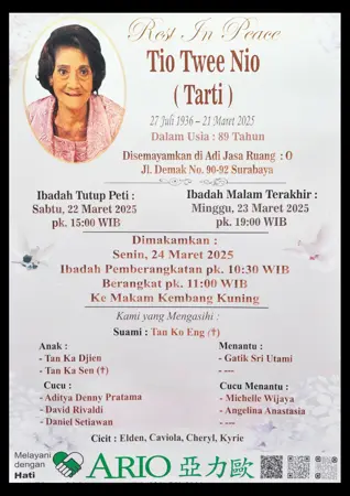 Tio Twee Nio first banner