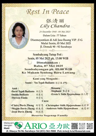 Lily Chandra first banner